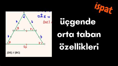 Taban özellikleri ve önemi